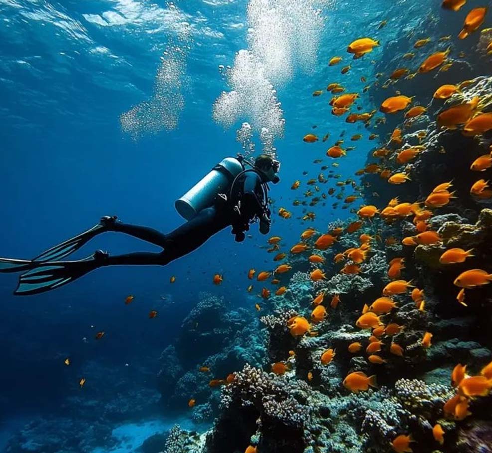 Blissful Andaman Tour